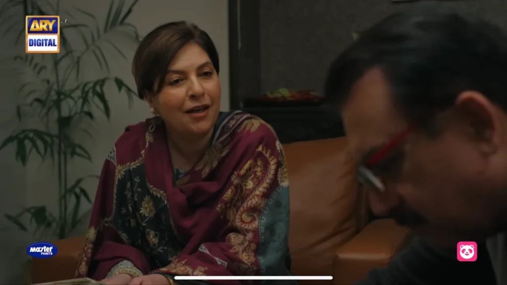 Annie Zaidi kbhi mei kbhi tum drama cast